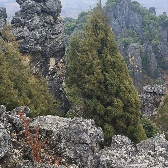 小❤️阿❤️哥❤️❤️