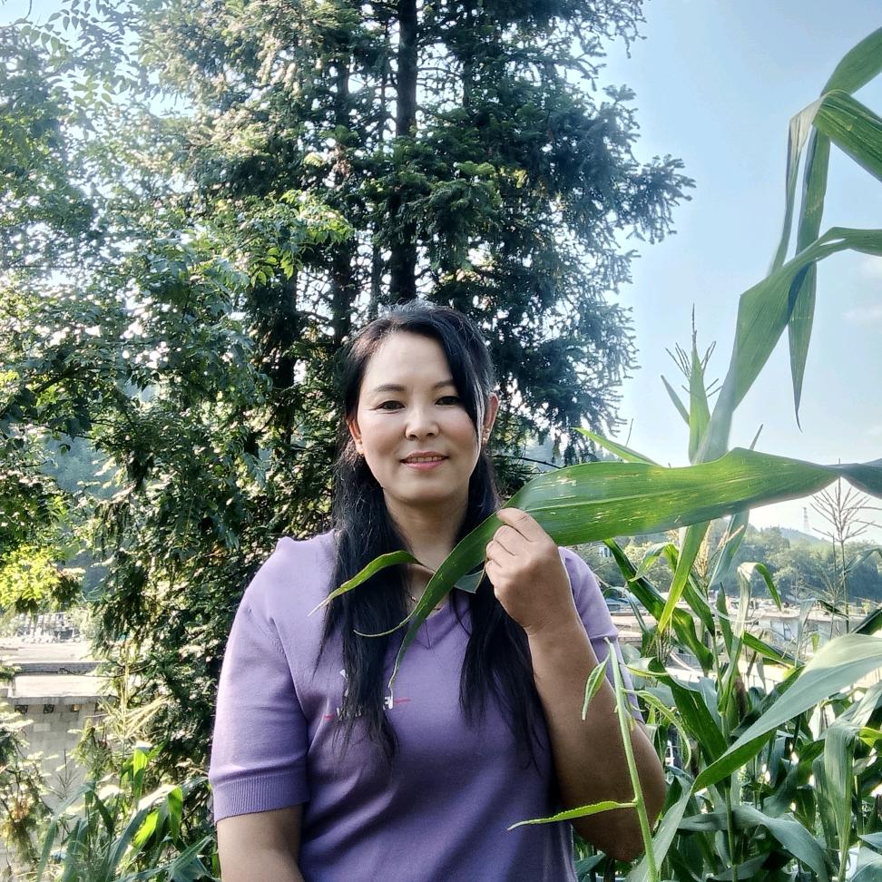 《小草》