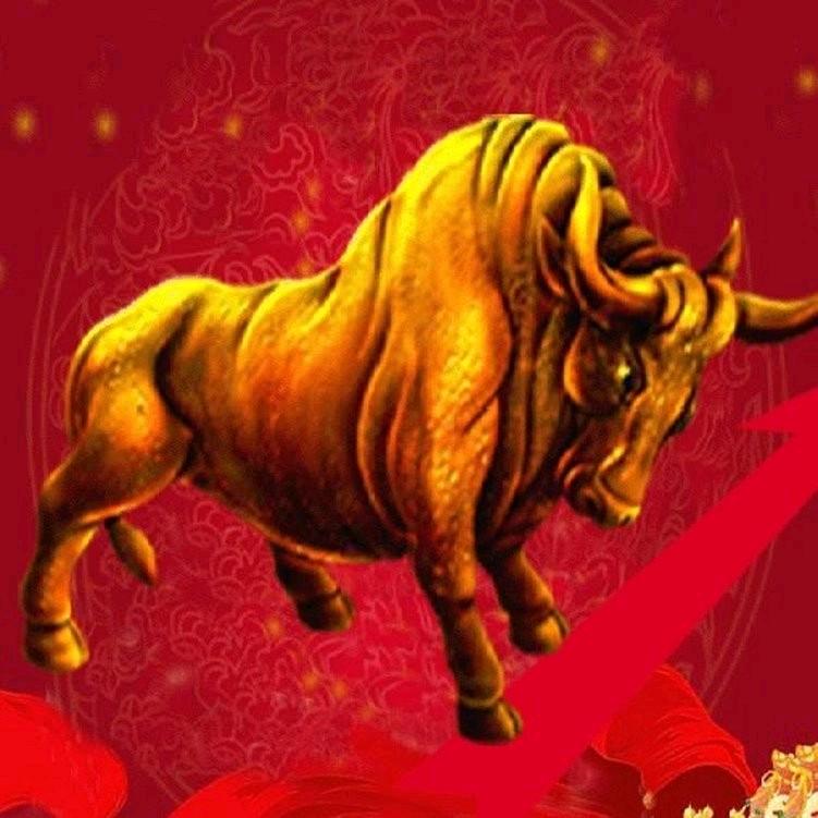 老王%永生