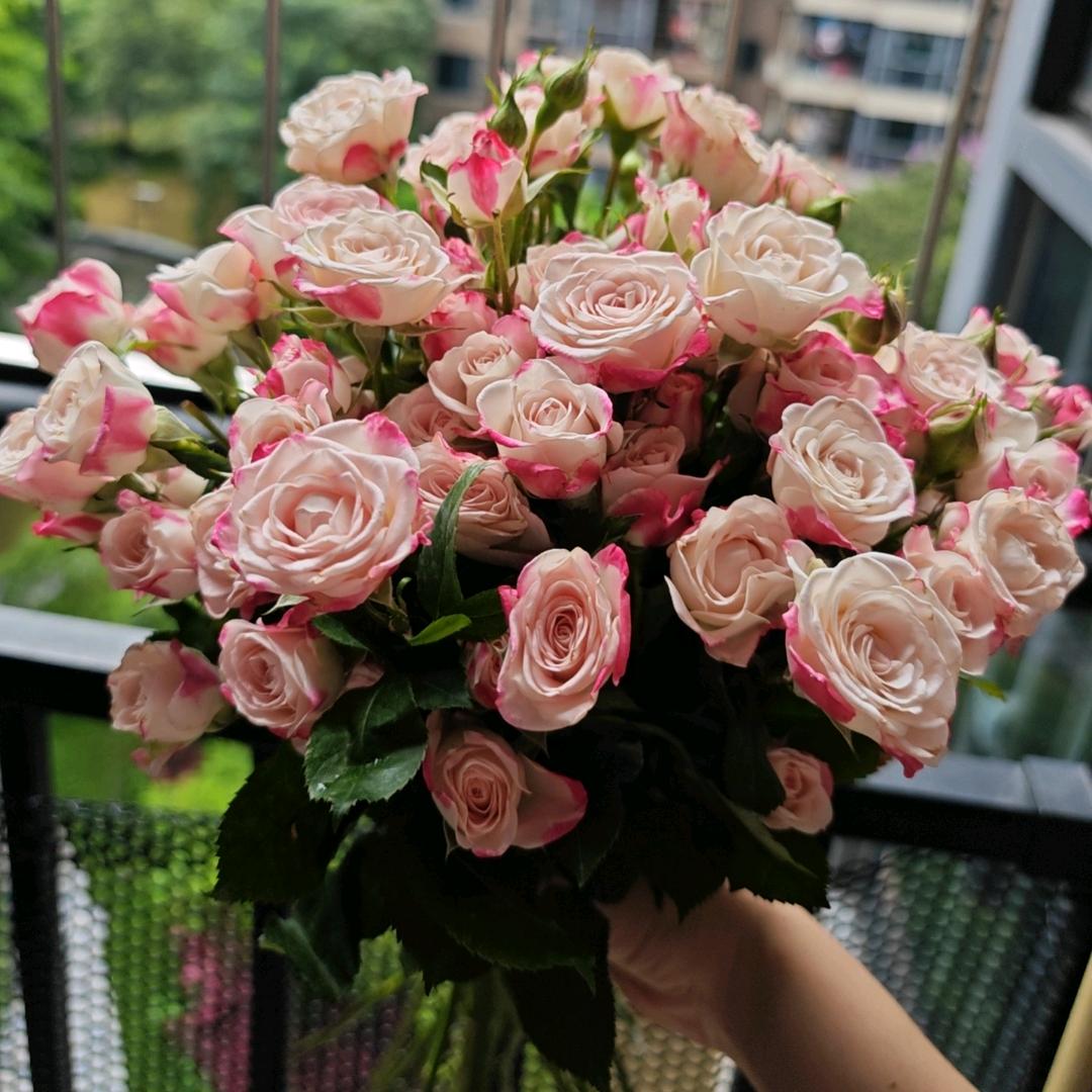 阿杏