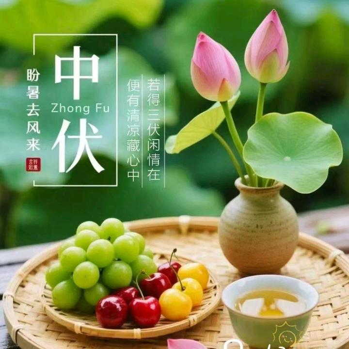 一杨爱你