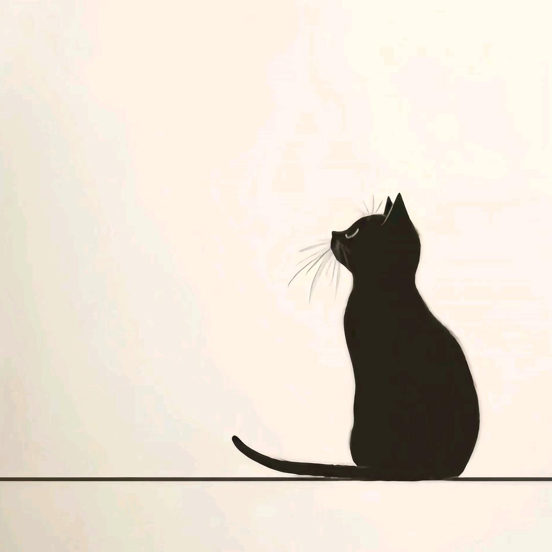 养只猫叫二月