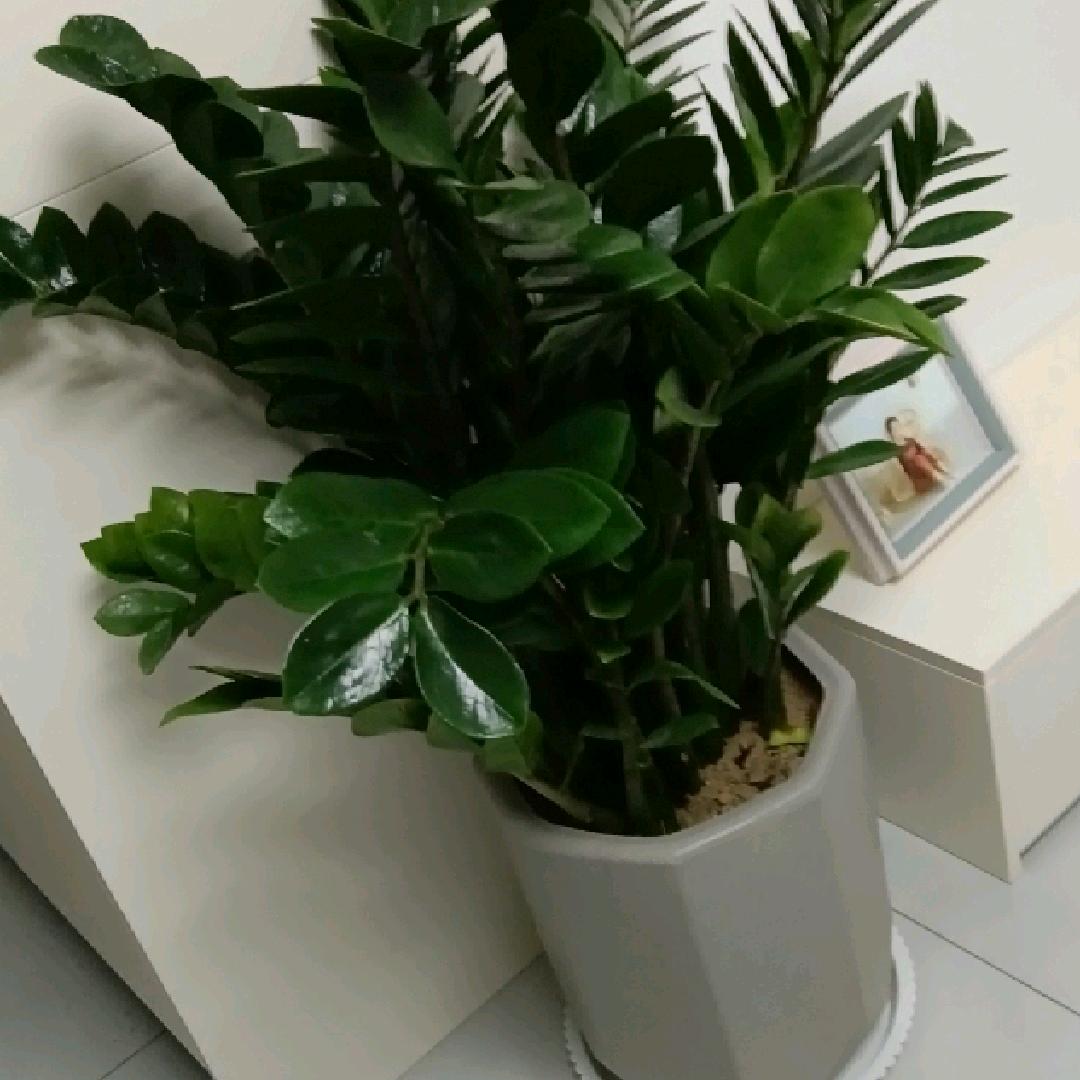 点点点