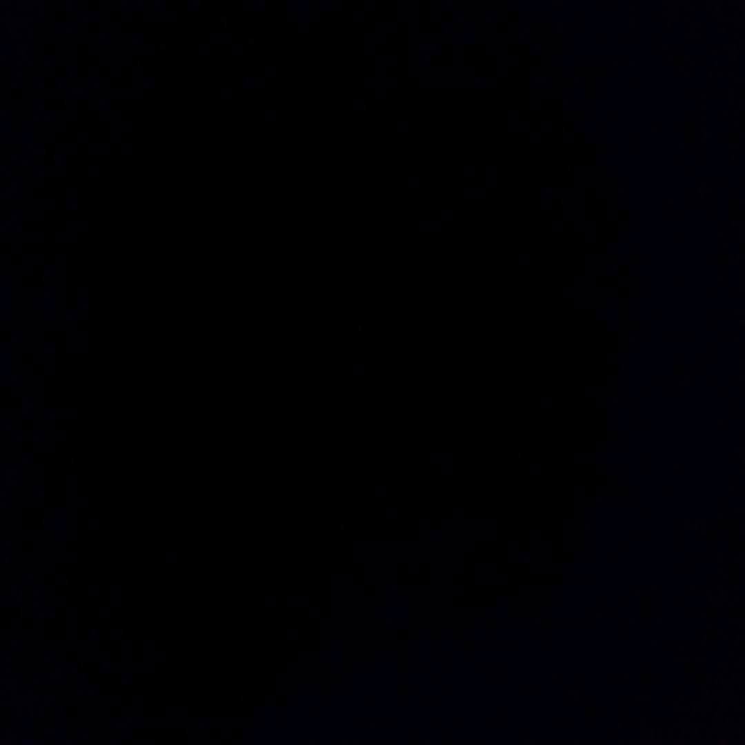 我只属于
