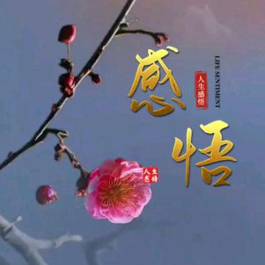 远方好物🌹