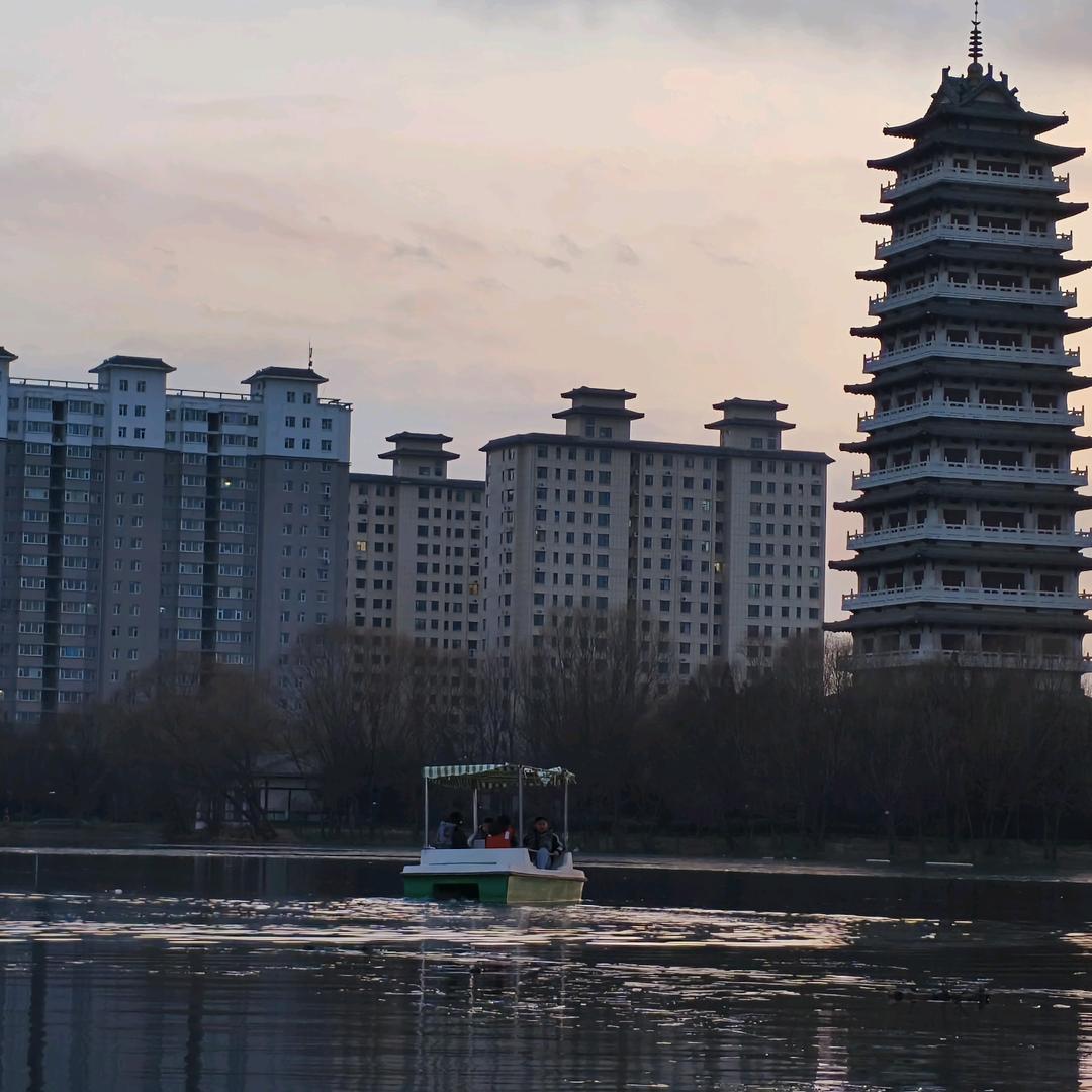 桑椹