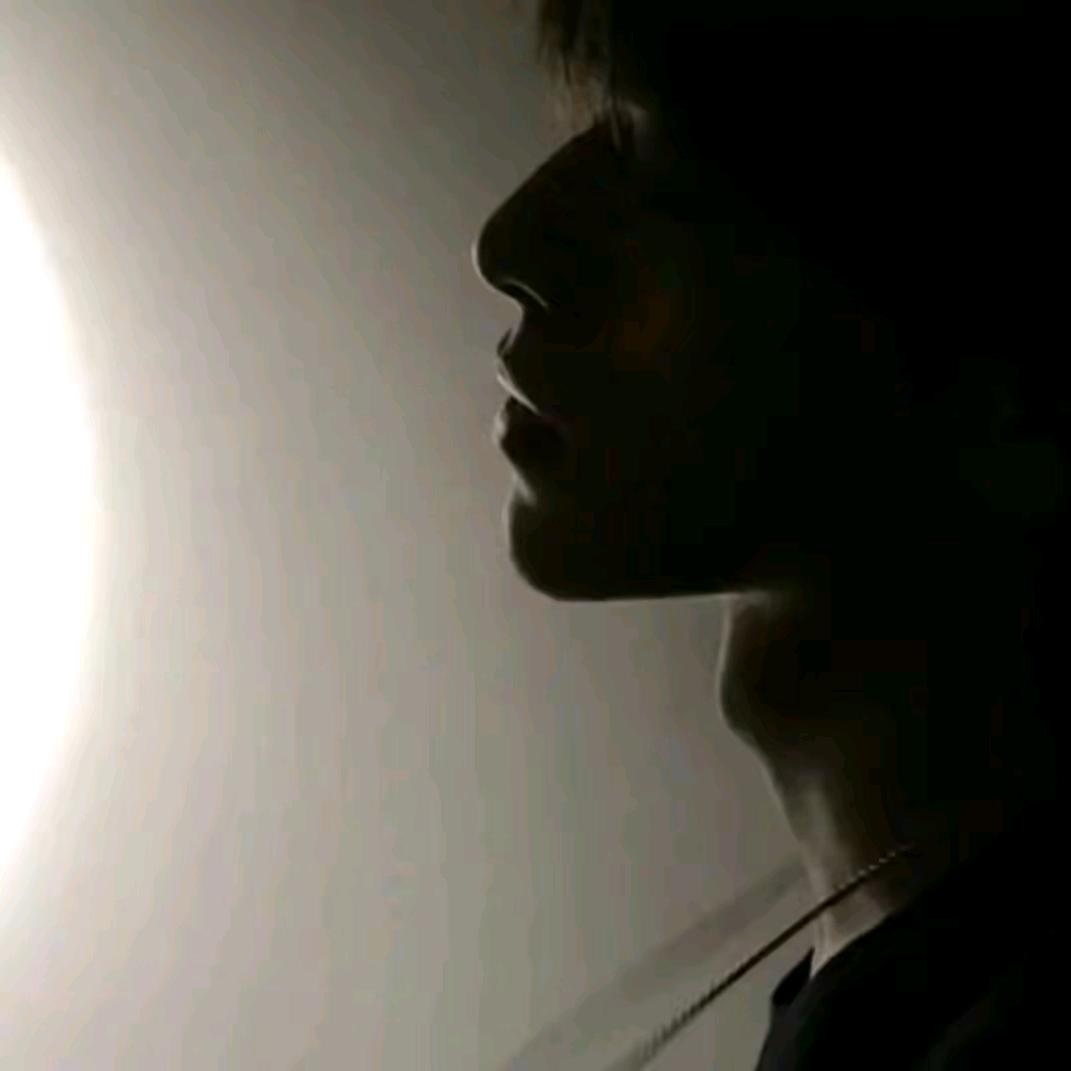 林　  　　　　　　　🪳