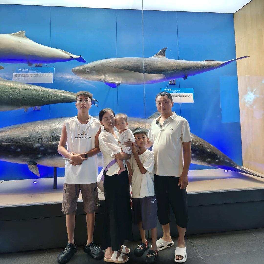 旋切杨木板皮（在甘肃，张掖。在青海，民和