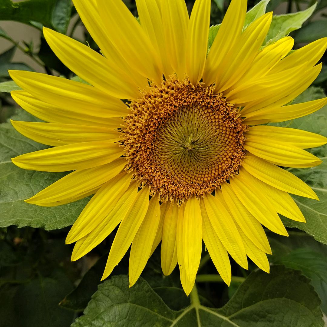 利利分享点点滴滴