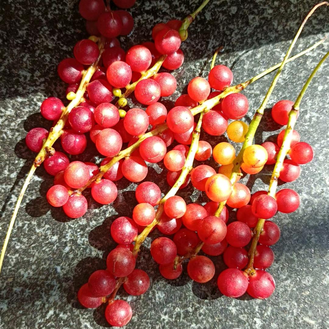 好好好