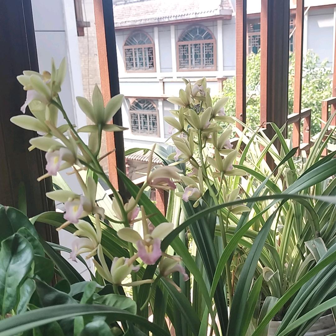 ꧁雨落倾城💞夏未凉꧂
