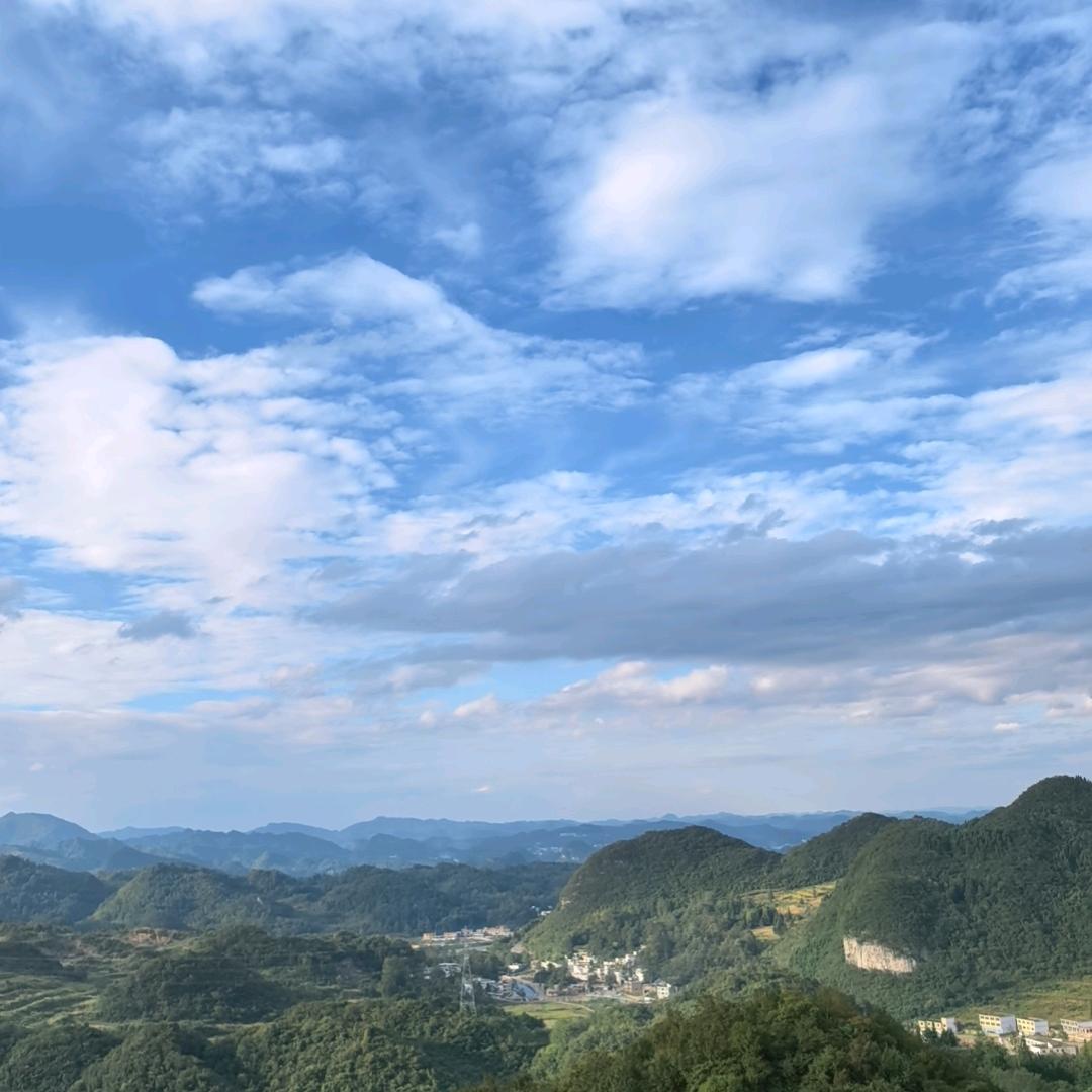 苦涩的橘子