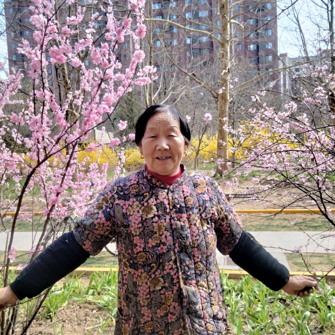 用户40|513727σ93875315