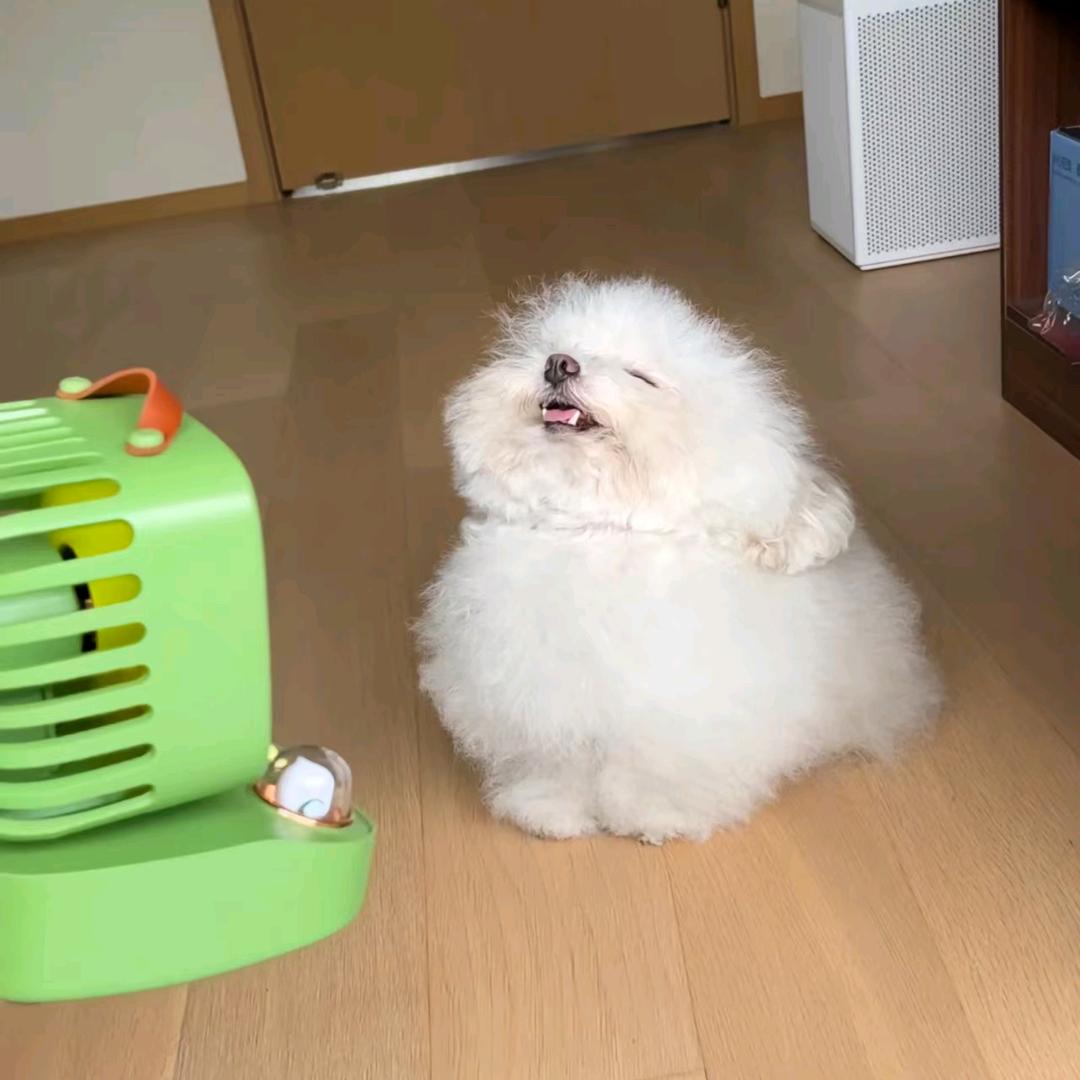 扬州慢