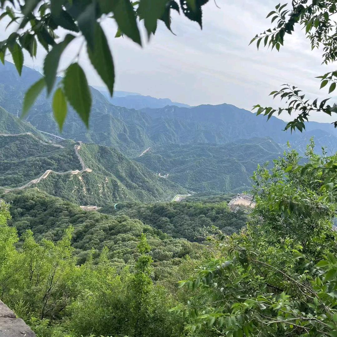 富歌