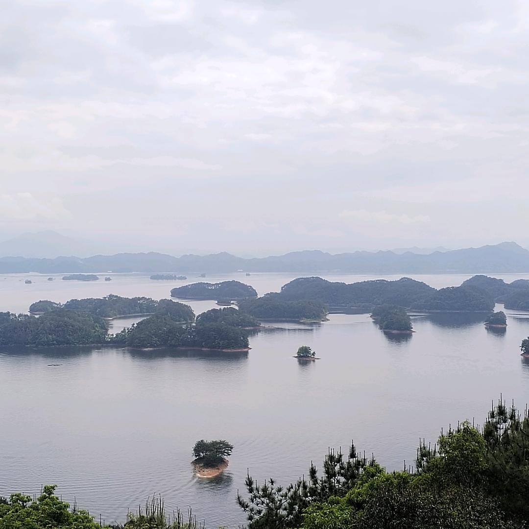 向左向右走
