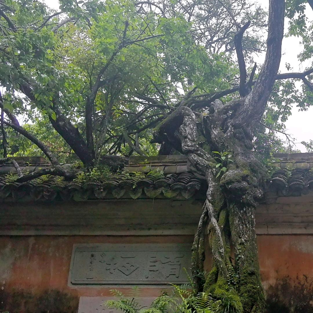 德涛复合、新舒印染十三车间