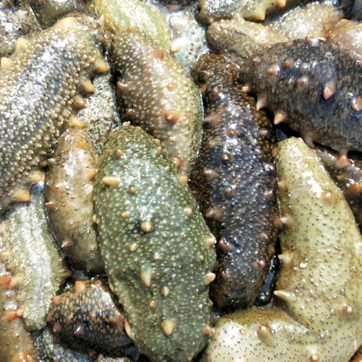 闯海人