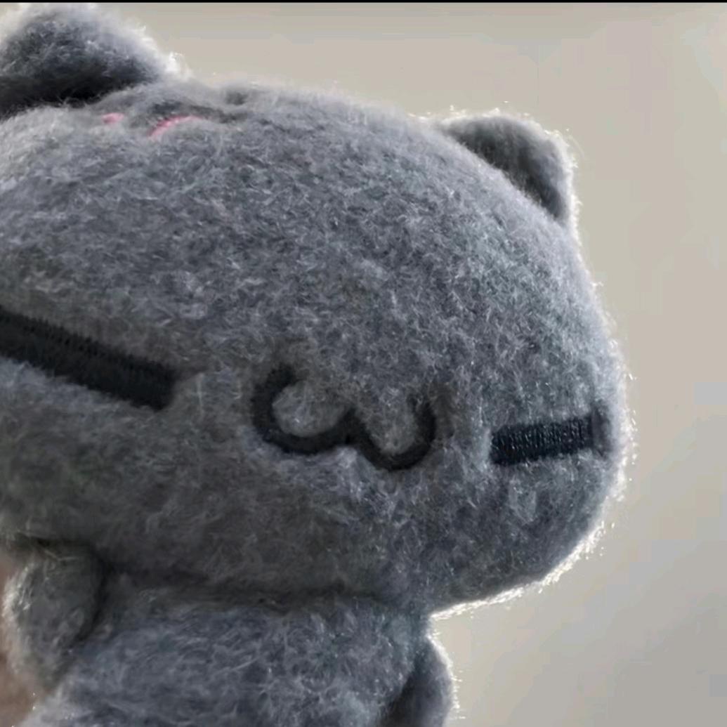 番心柿下番心树
