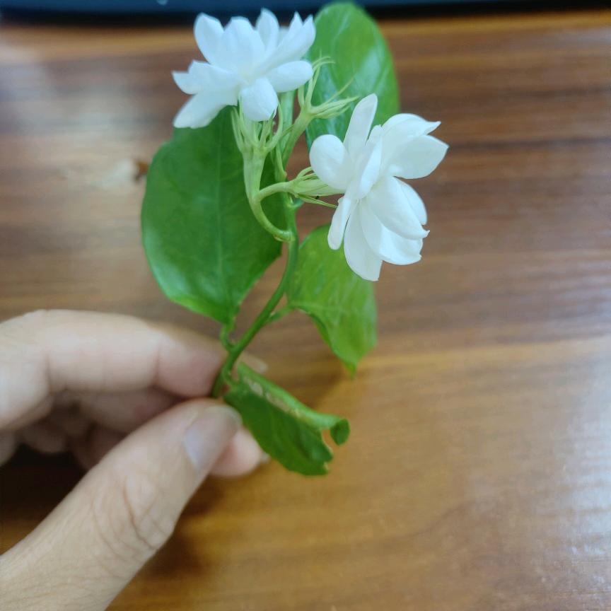 原来无力感就是这样