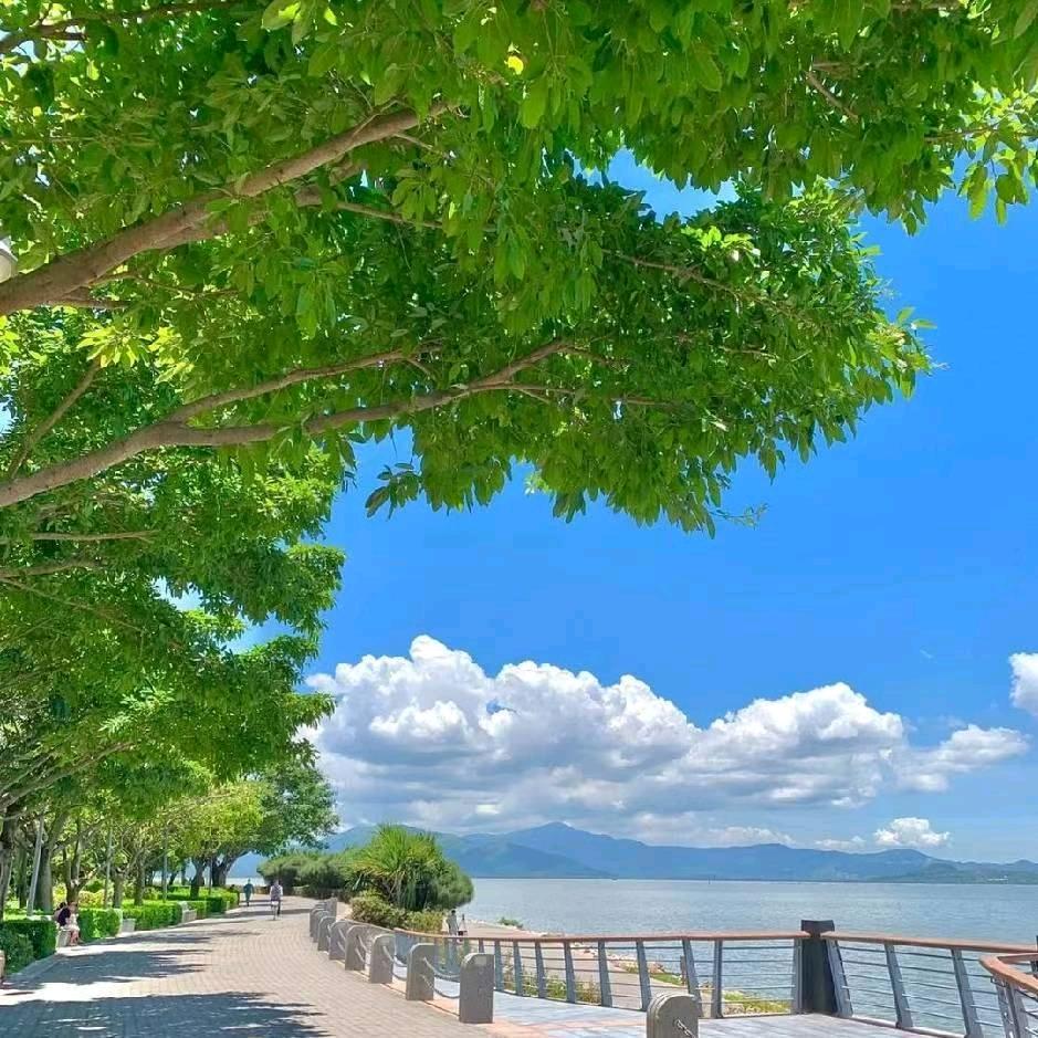 西藏建筑资质办理  月