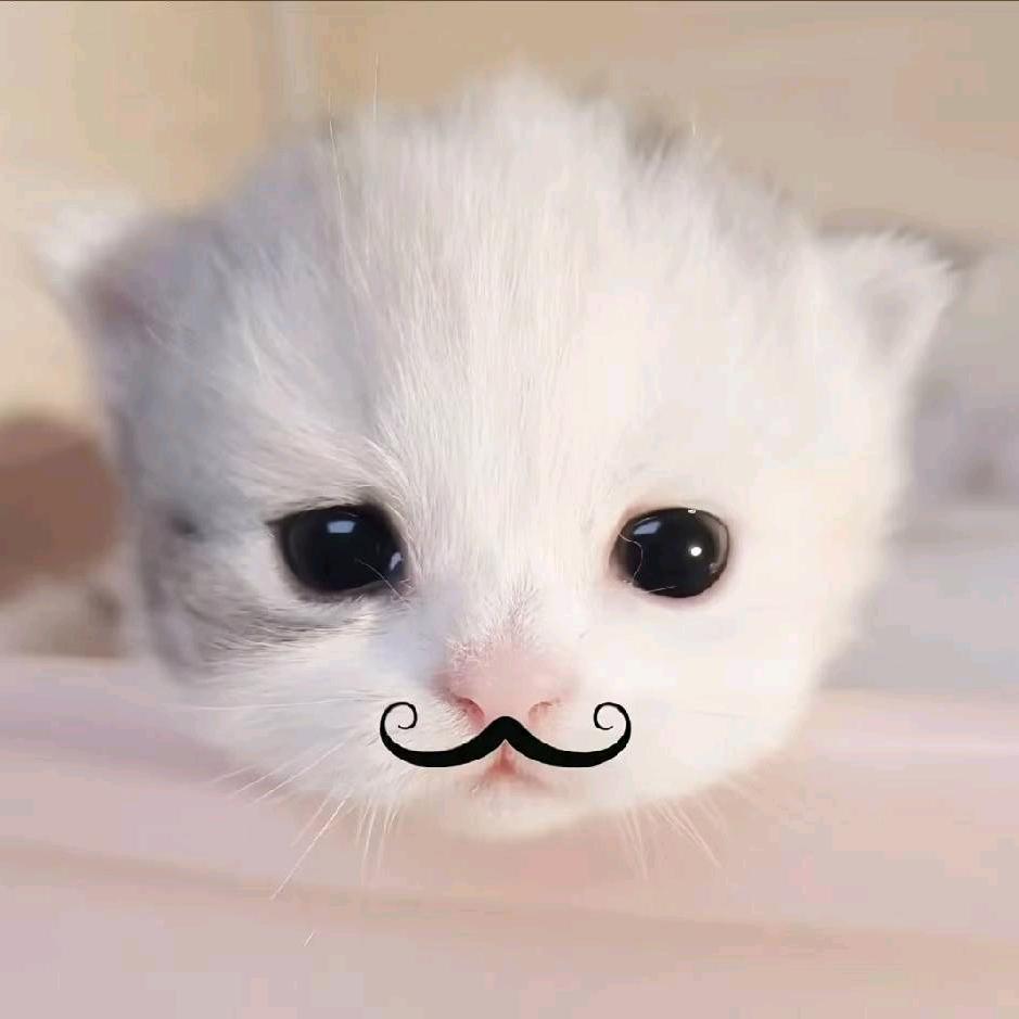 雪花（三角洲行动）