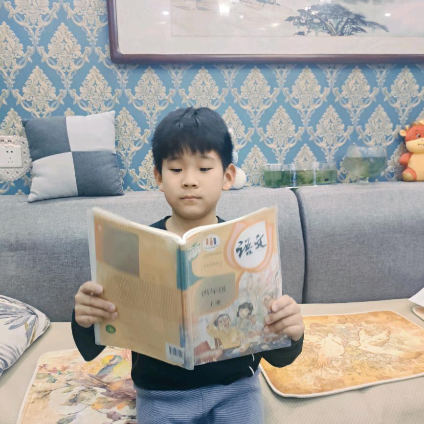泽泽扬帆起航