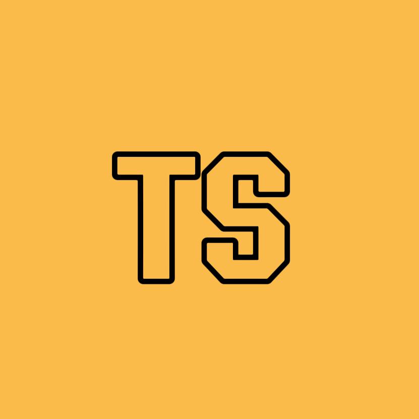 TS档案