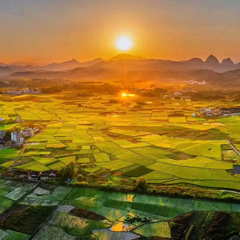 乡土海涛（新农人）