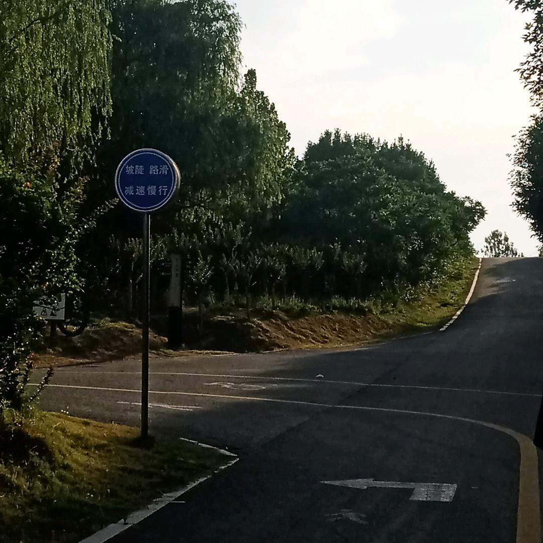 许丽