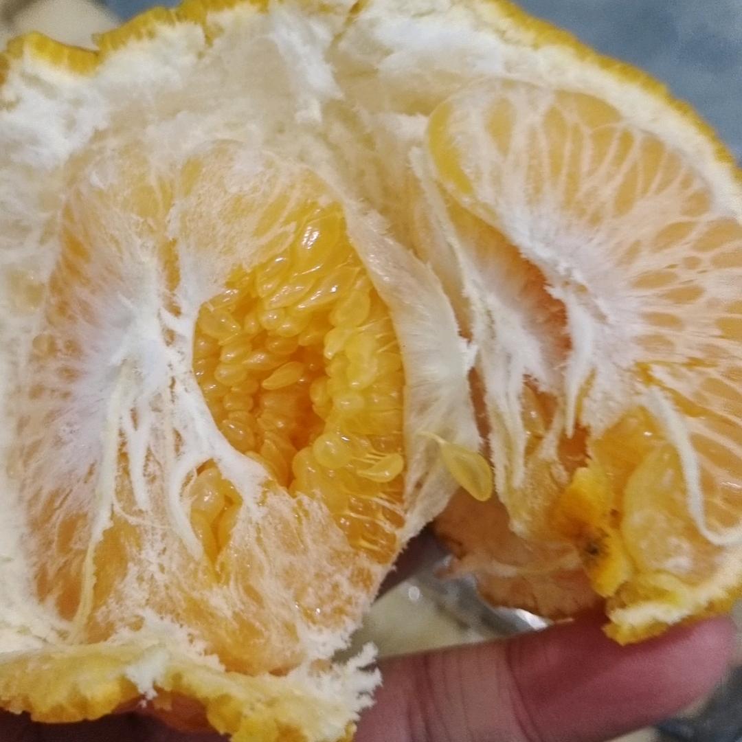 春见耙耙柑（果农直发）