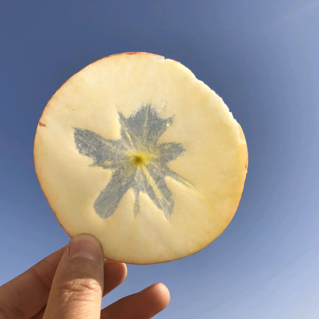 瑶厨生鲜