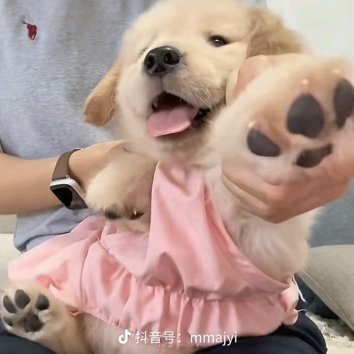 ，