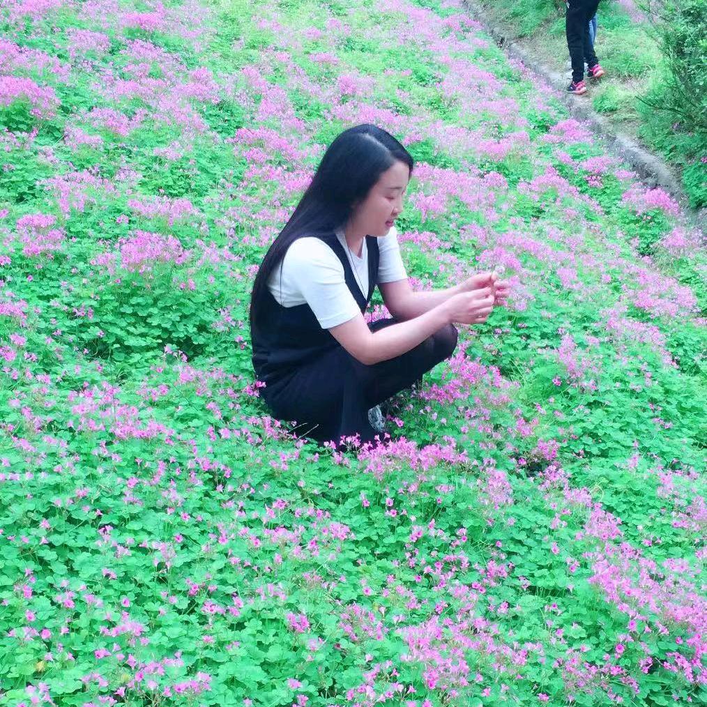 昕芮