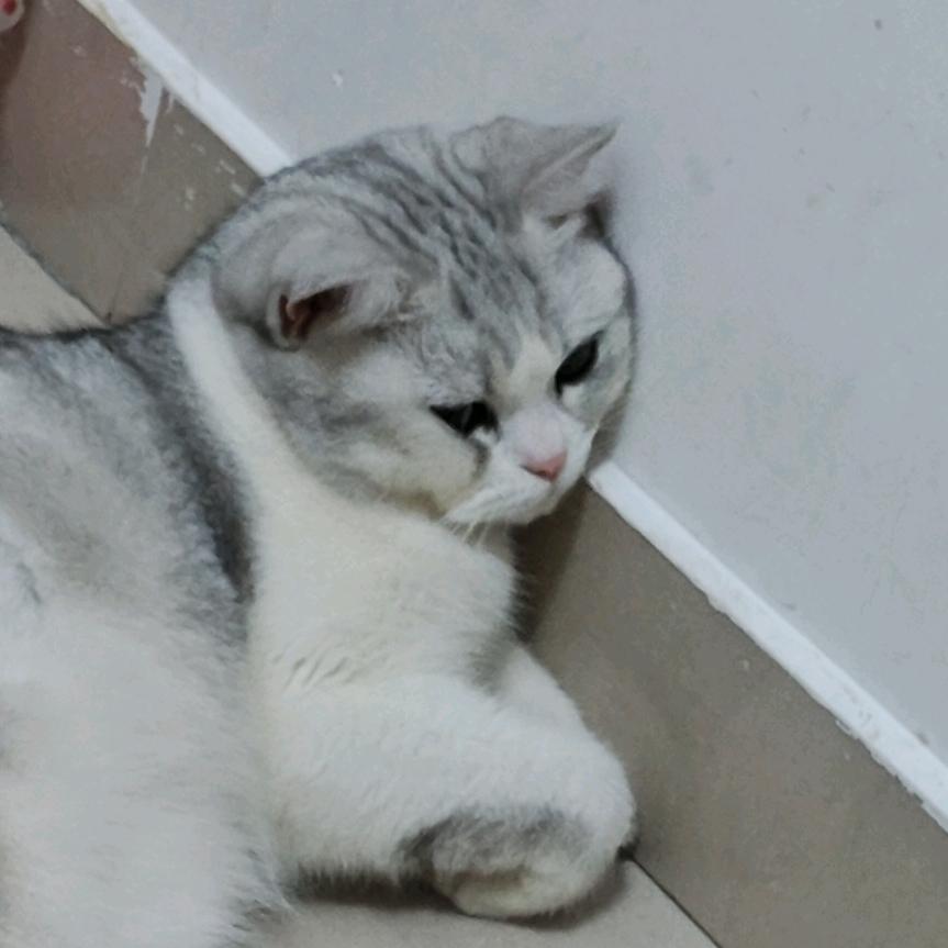 哎呦不想改名了