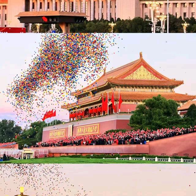 前程似锦🌲