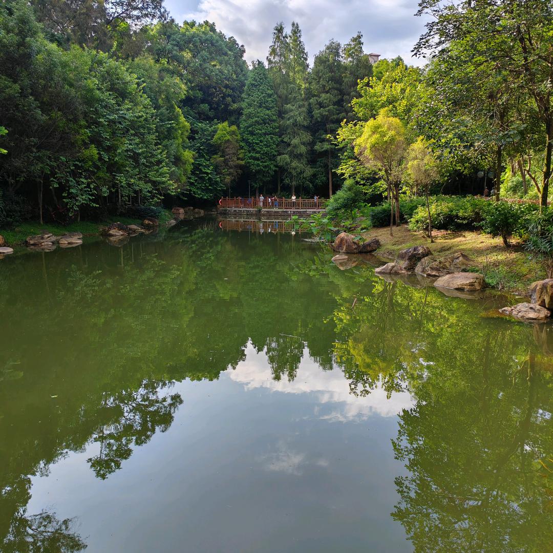 一身傲气怎能服输，