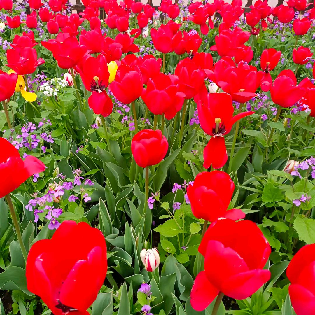 用户9610939462491冰雨