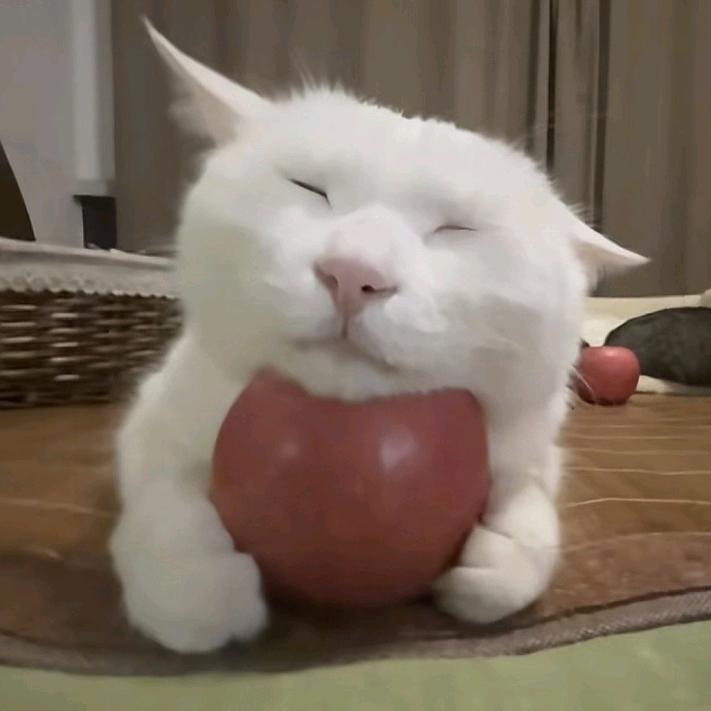 今幽