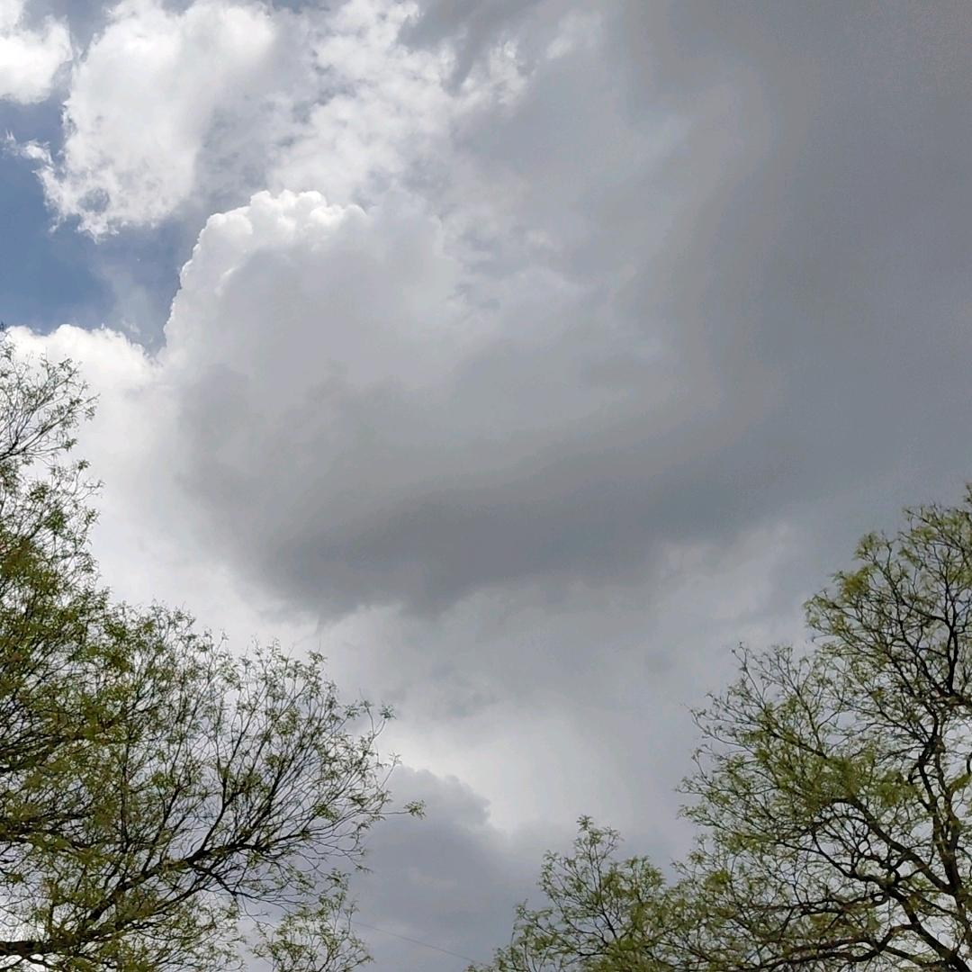 🍁㞮❣️孞🥀