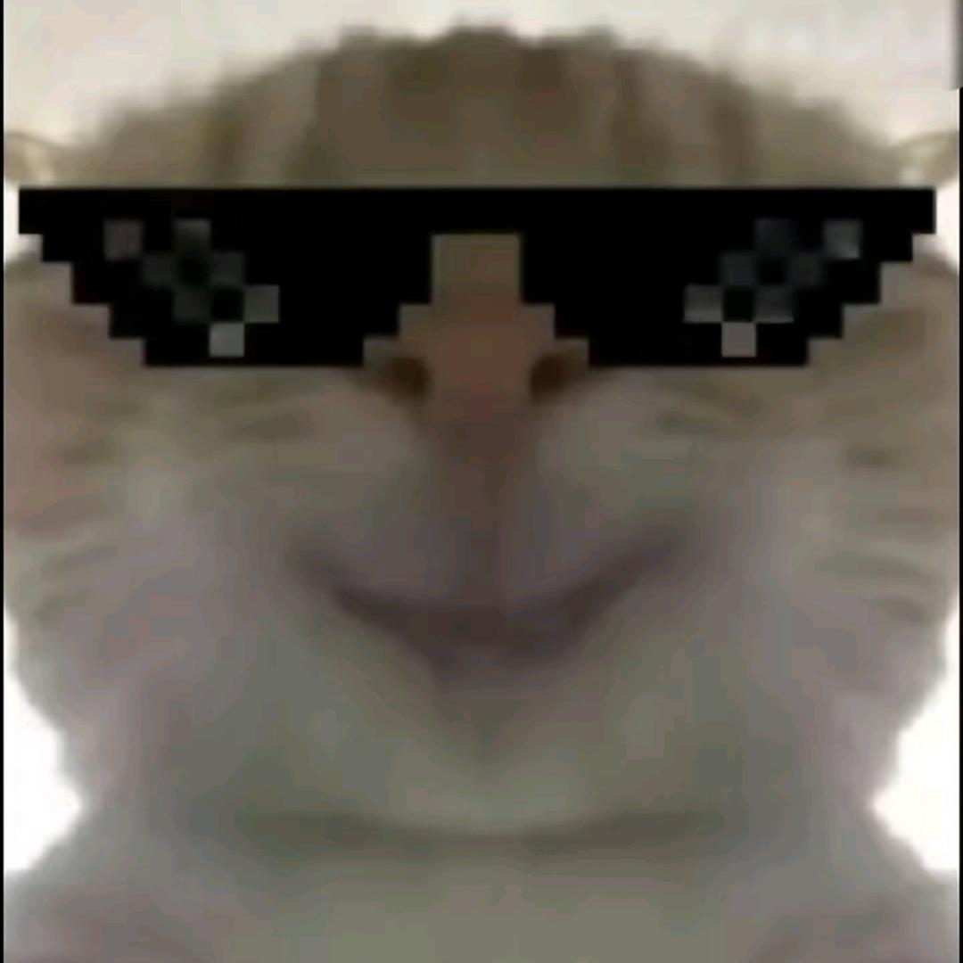 辉仔（三角洲行动）