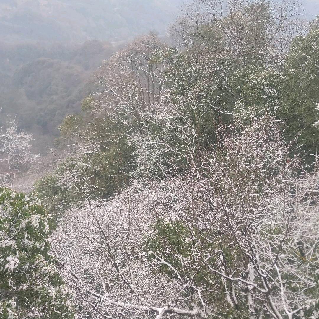睡吧睡吧