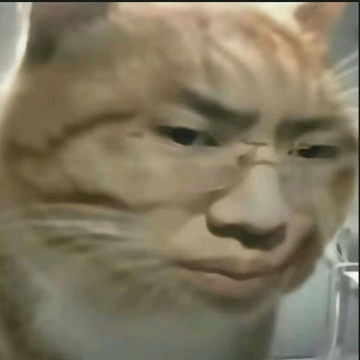 斑鸠