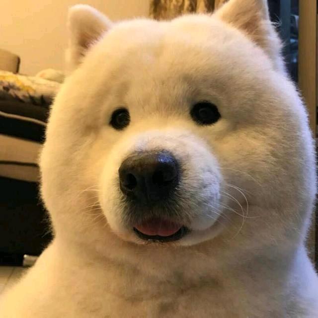 听天下雨