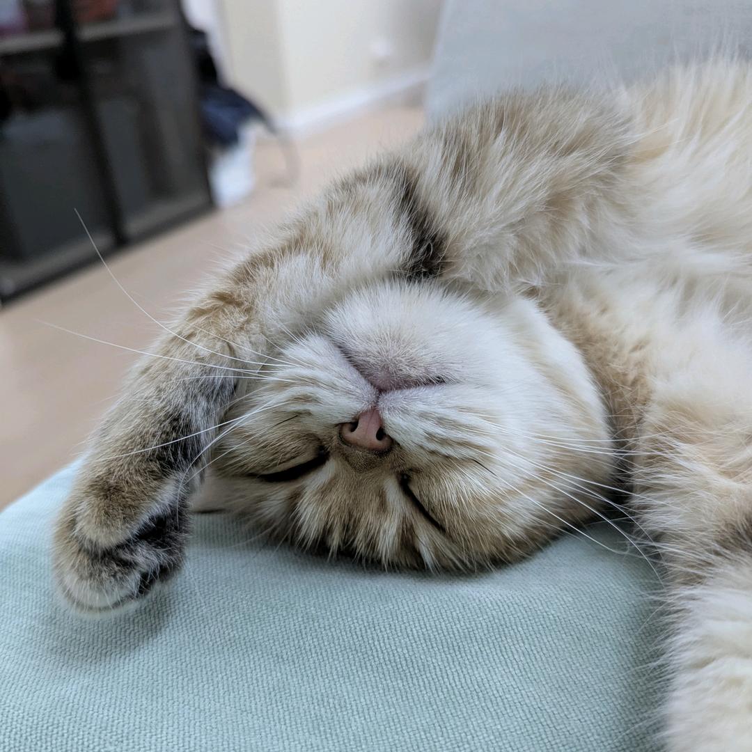 杰(ง •̀_•́)ง