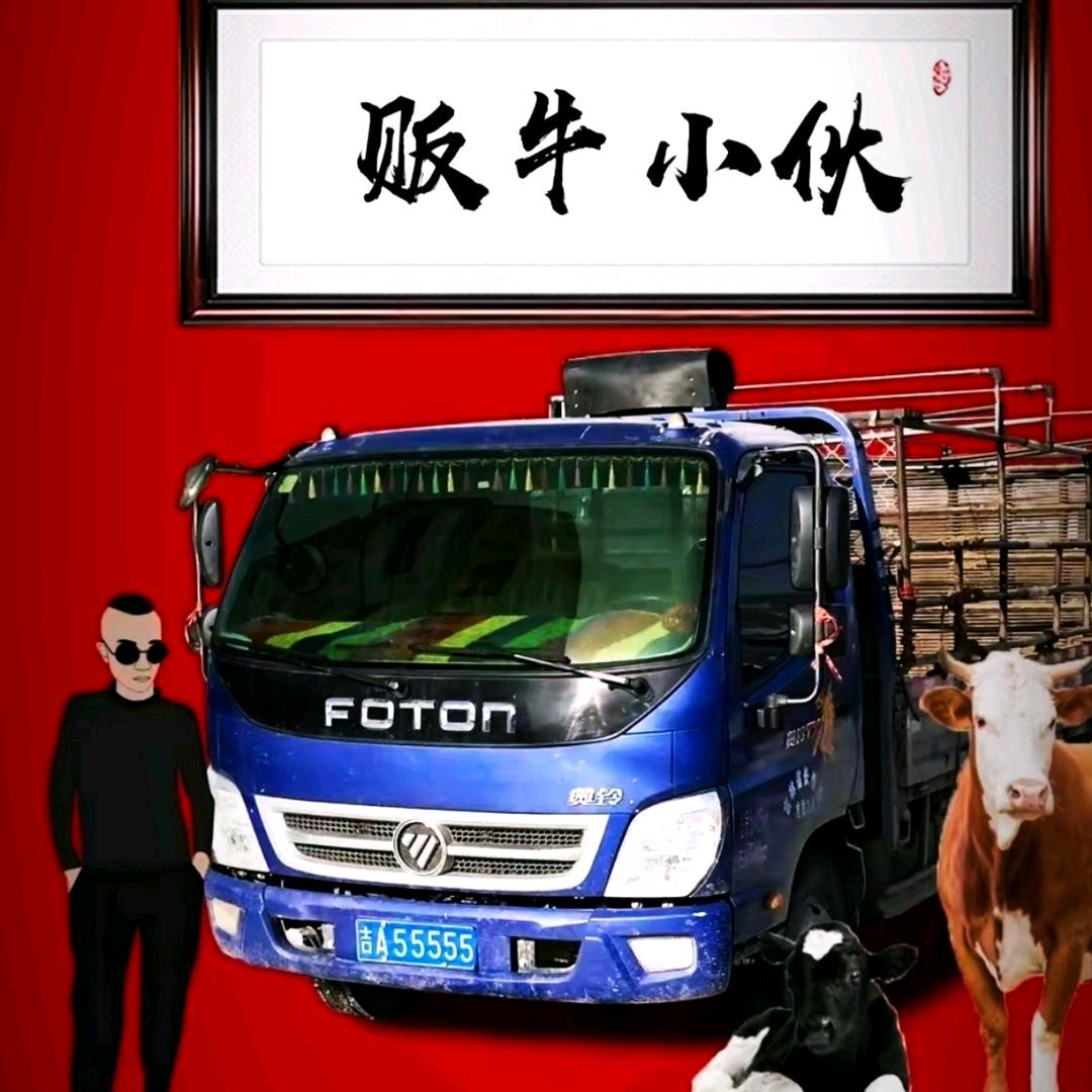 养牛