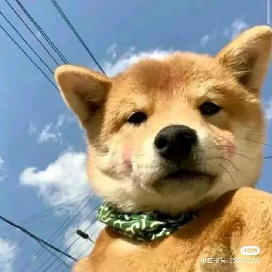 小张同学的烦恼