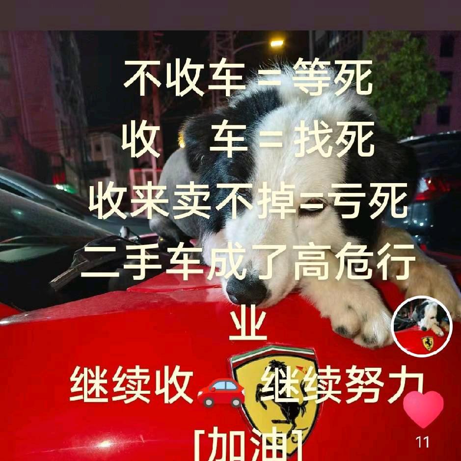 ✨️孤≈狼（车卖买）💫