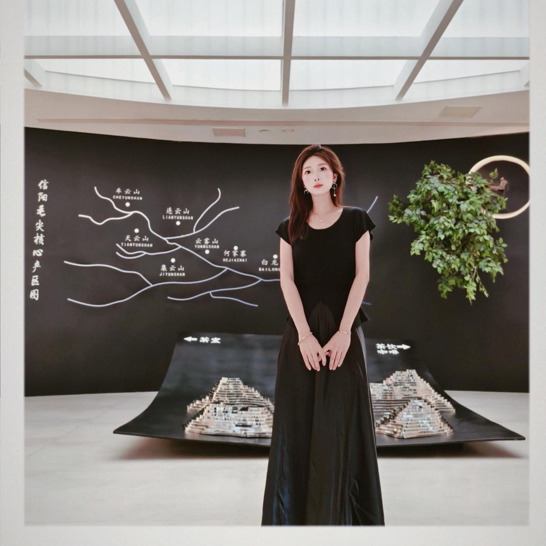 A信阳毛尖董姐🍵