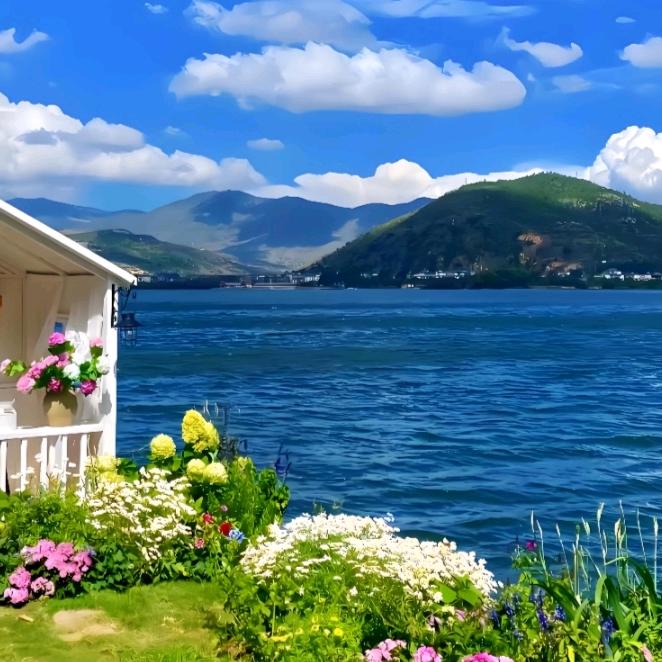 🍵幸福的小太阳☀️